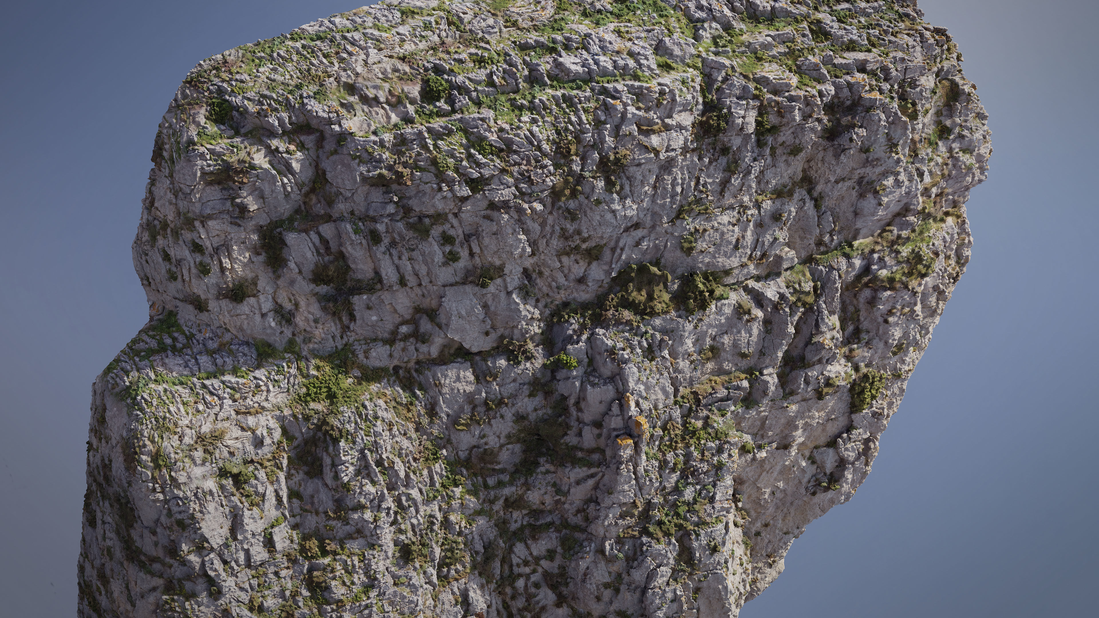 Large Mountain 04 Cliff PBR Scan Low-poly 3D model_2