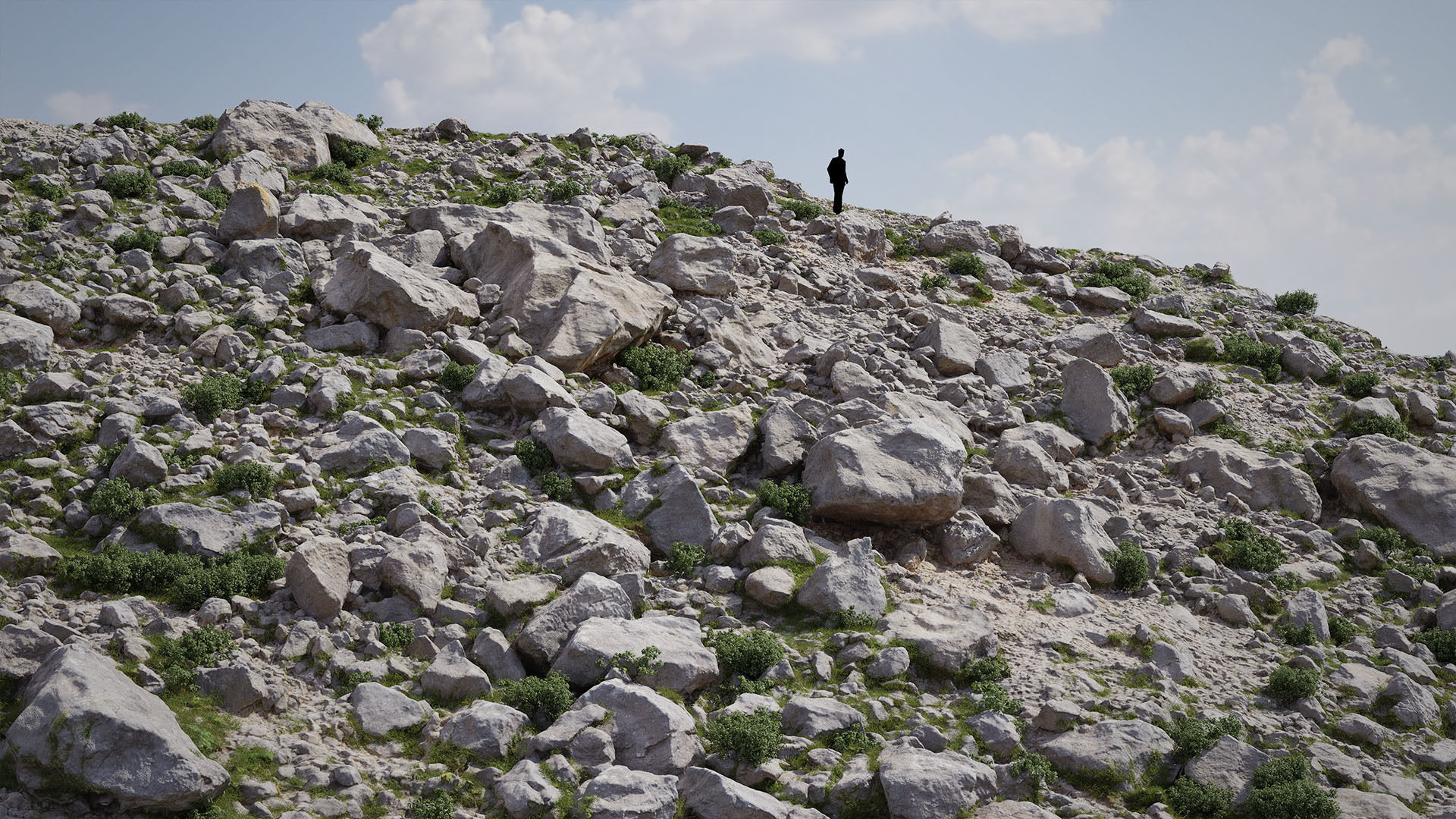 Mountain Rock Slope 03 PBR Scan Low-poly 3D model_2