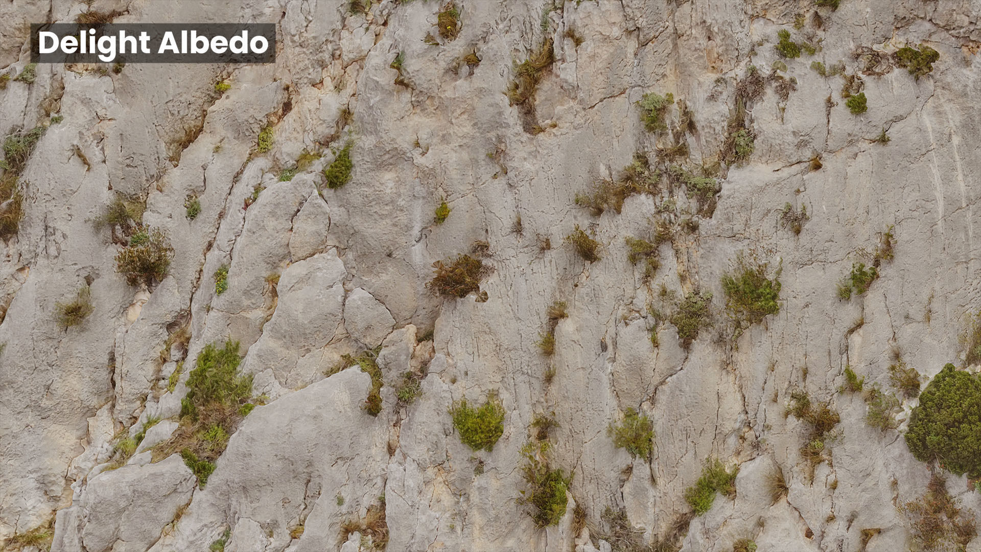 Mountain Cliff Face Slope PBR Scan Low-poly 3D model_12