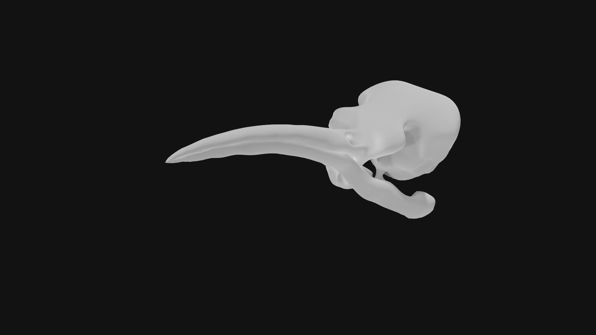 Hummingbird skull 3D model_6