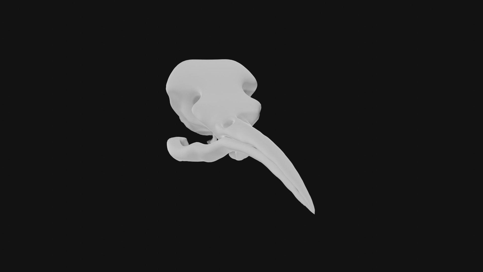 Hummingbird skull 3D model_2