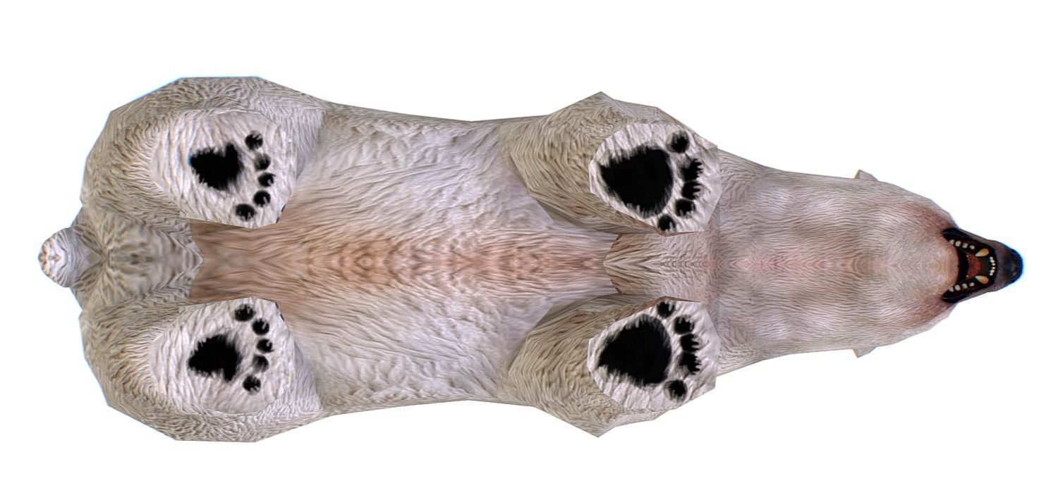 LowPoly Model White Polar Bear Low-poly 3D model_5