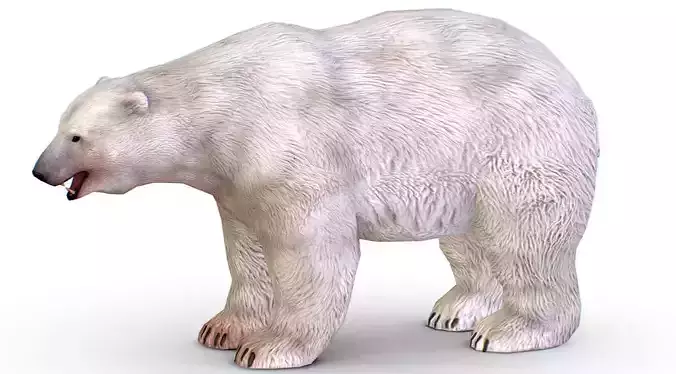 LowPoly Model White Polar Bear Low-poly 3D model