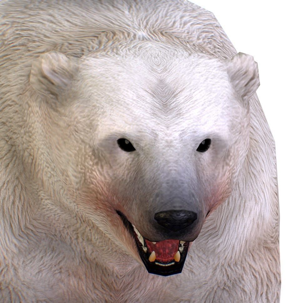 LowPoly Model White Polar Bear Low-poly 3D model_2