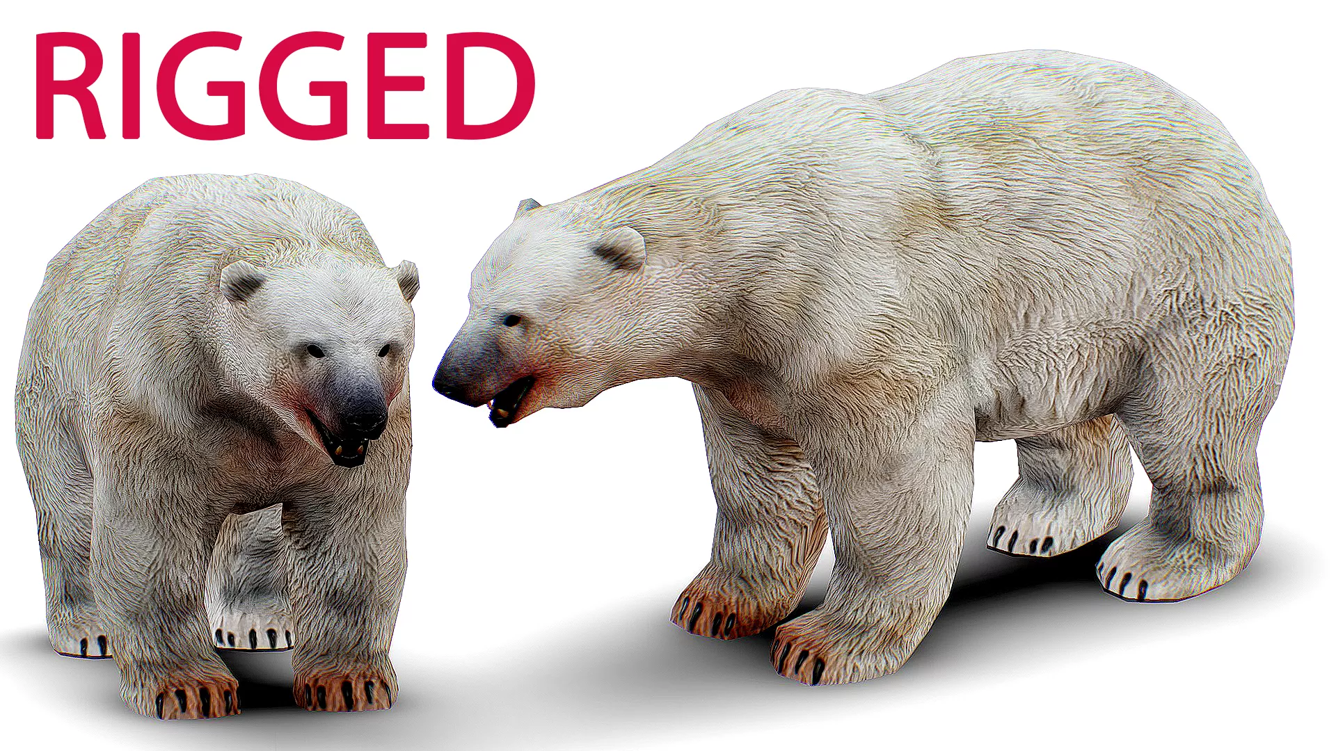 White Bear - Polarbear - Wild Polar Bear Animal Low-poly 3D model