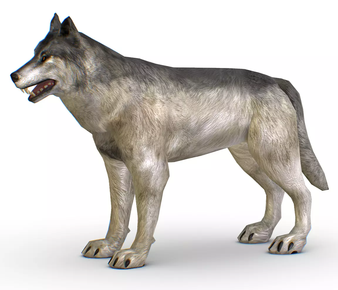 LowPoly Model Grey Wolf Low-poly 3D model_0