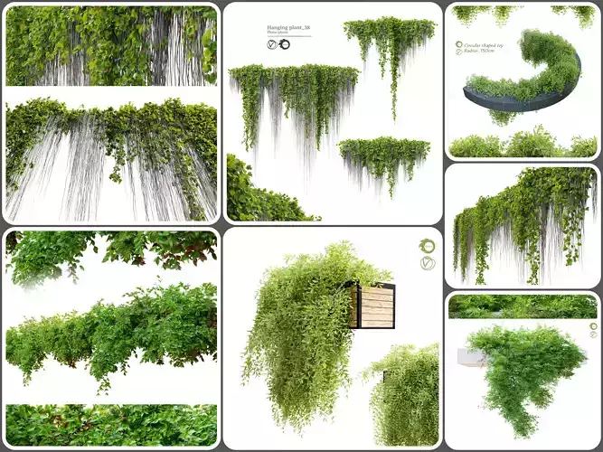 Hanging plant collection 01