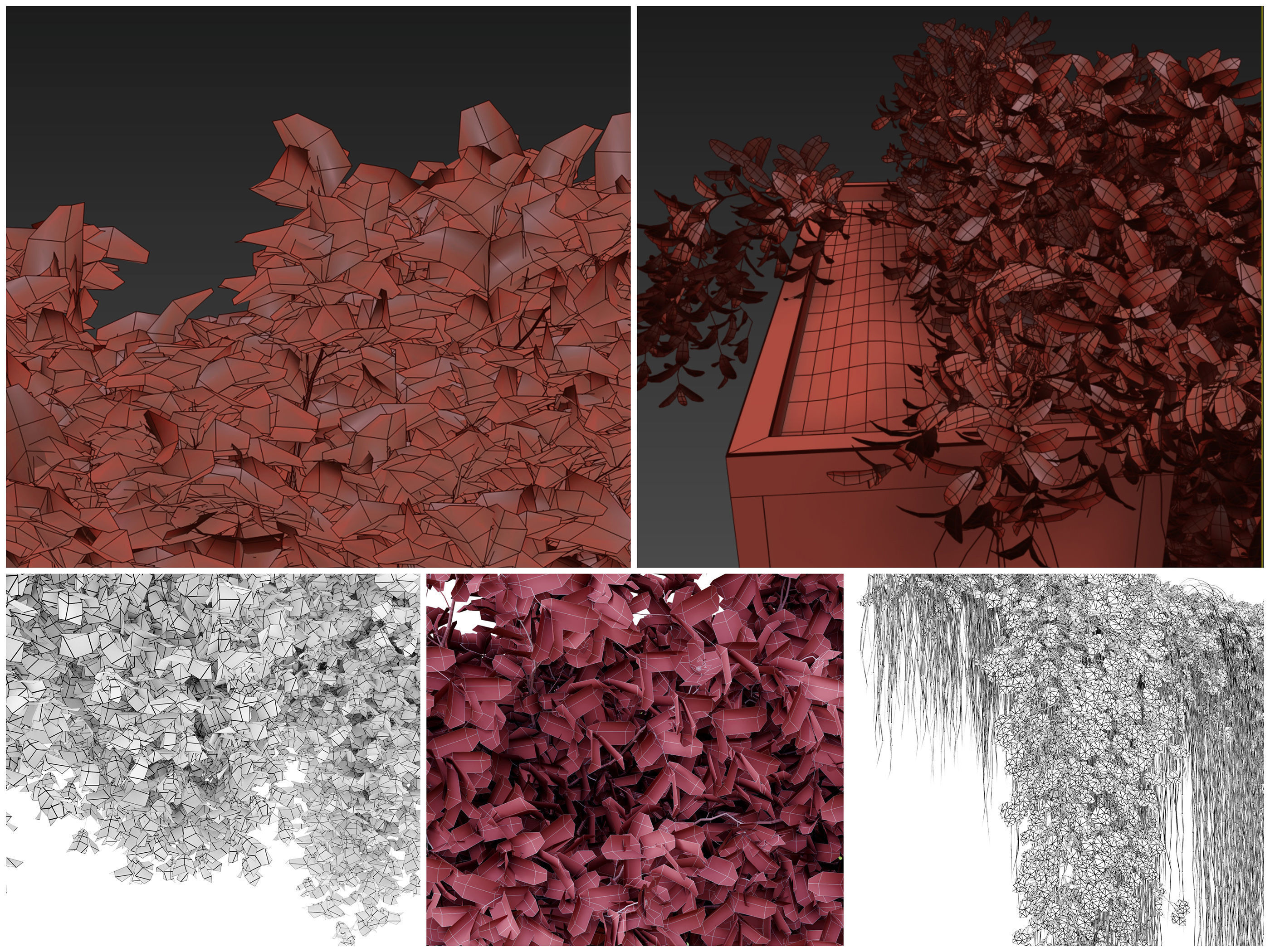 Hanging plant collection 01 _7