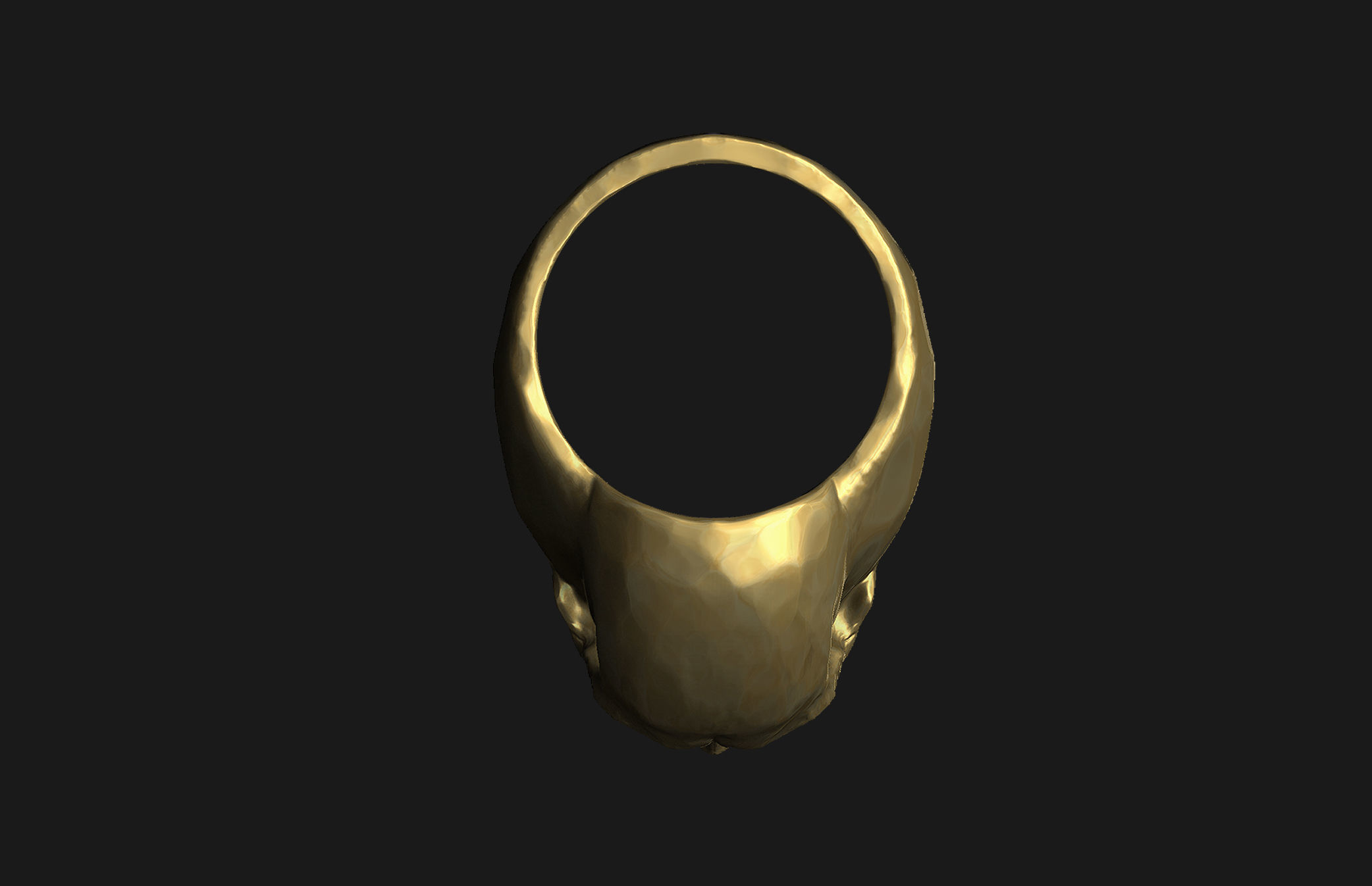 Skull Ring 3D print model_9