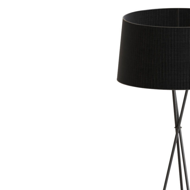 Tripode G5 Floor Lamp 3D model_1