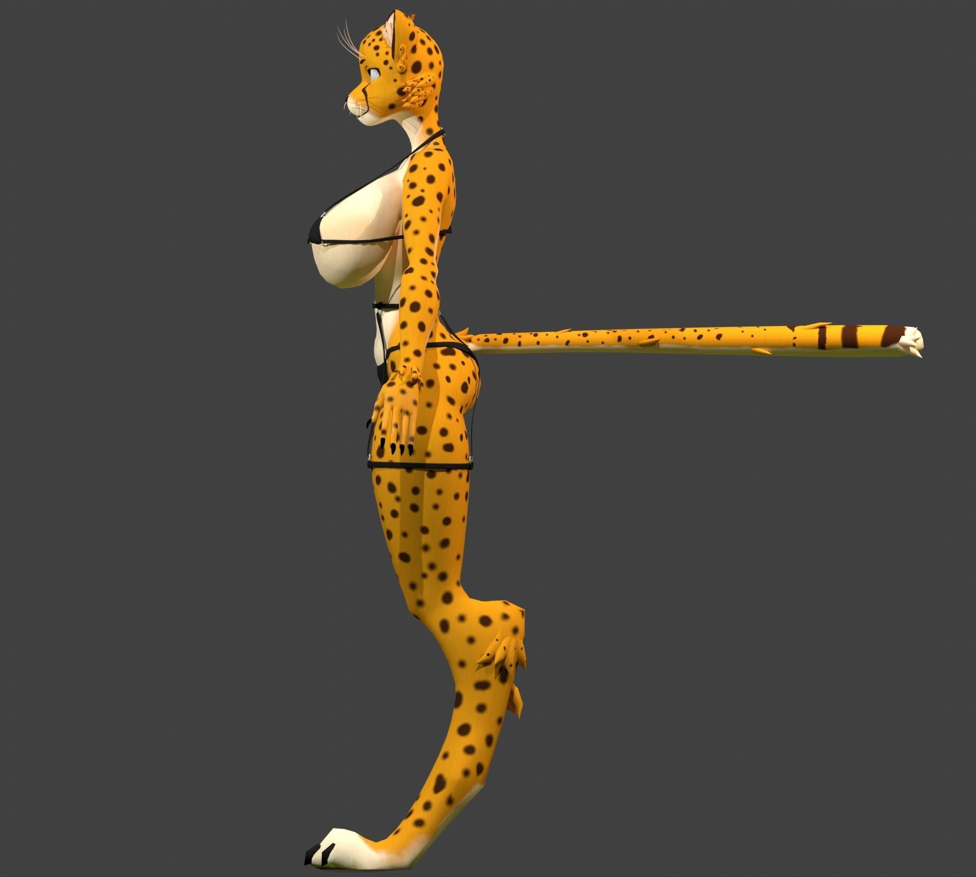Furry Cheetah Woman Avatar Low-poly 3D model_10