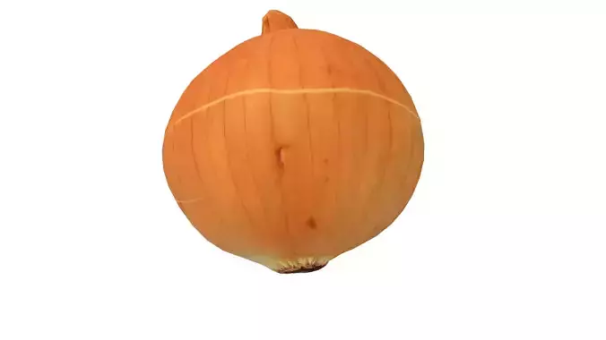 Onion Vegetable 3D Model AR VR PBR  Low-poly 3D model