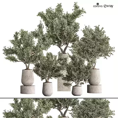 palnt four trees in vases