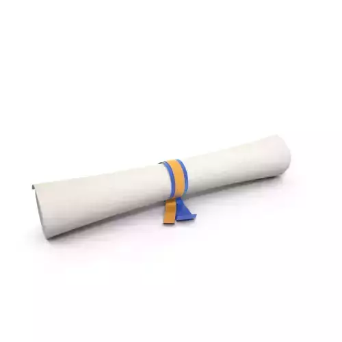 Certificate 3D model