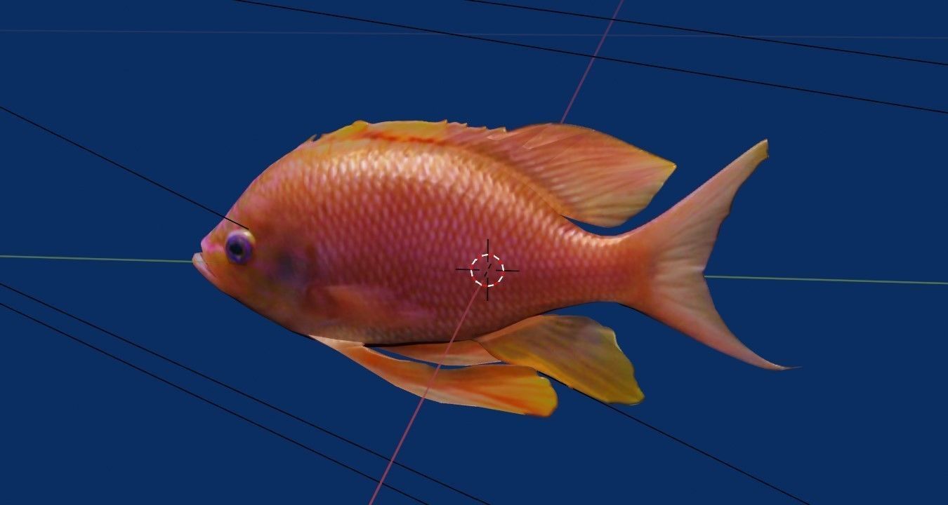 Barbier fish Low-poly 3D model_3