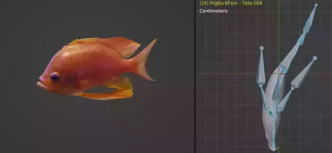 Barbier fish Low-poly 3D model