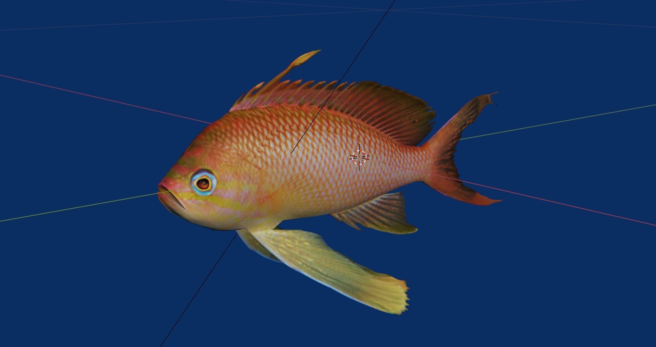 Barbier fish Low-poly 3D model_5
