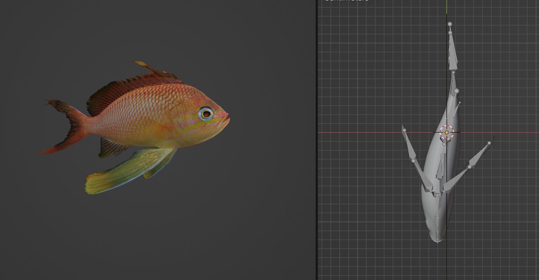 Barbier fish Low-poly 3D model_4