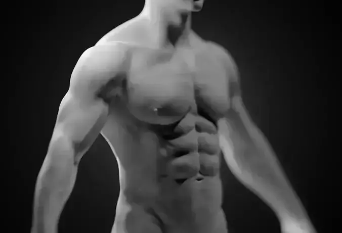 Male Anatomy Basemesh 3D model