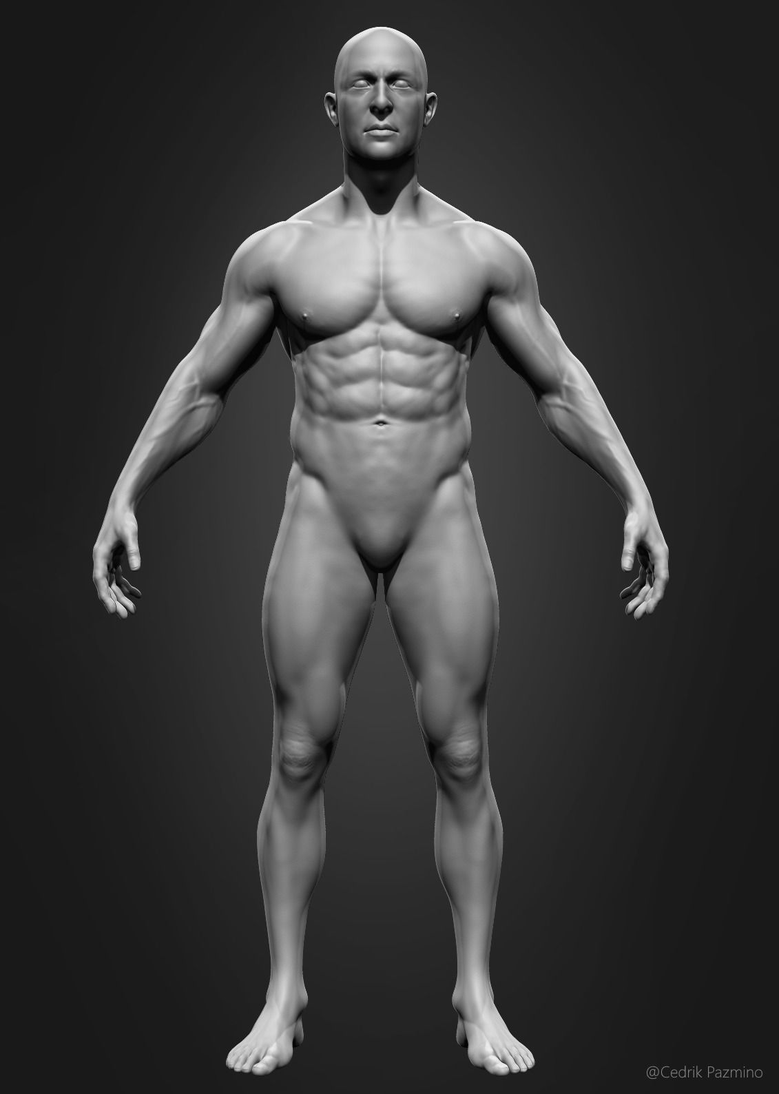 Male Anatomy Basemesh 3D model_1