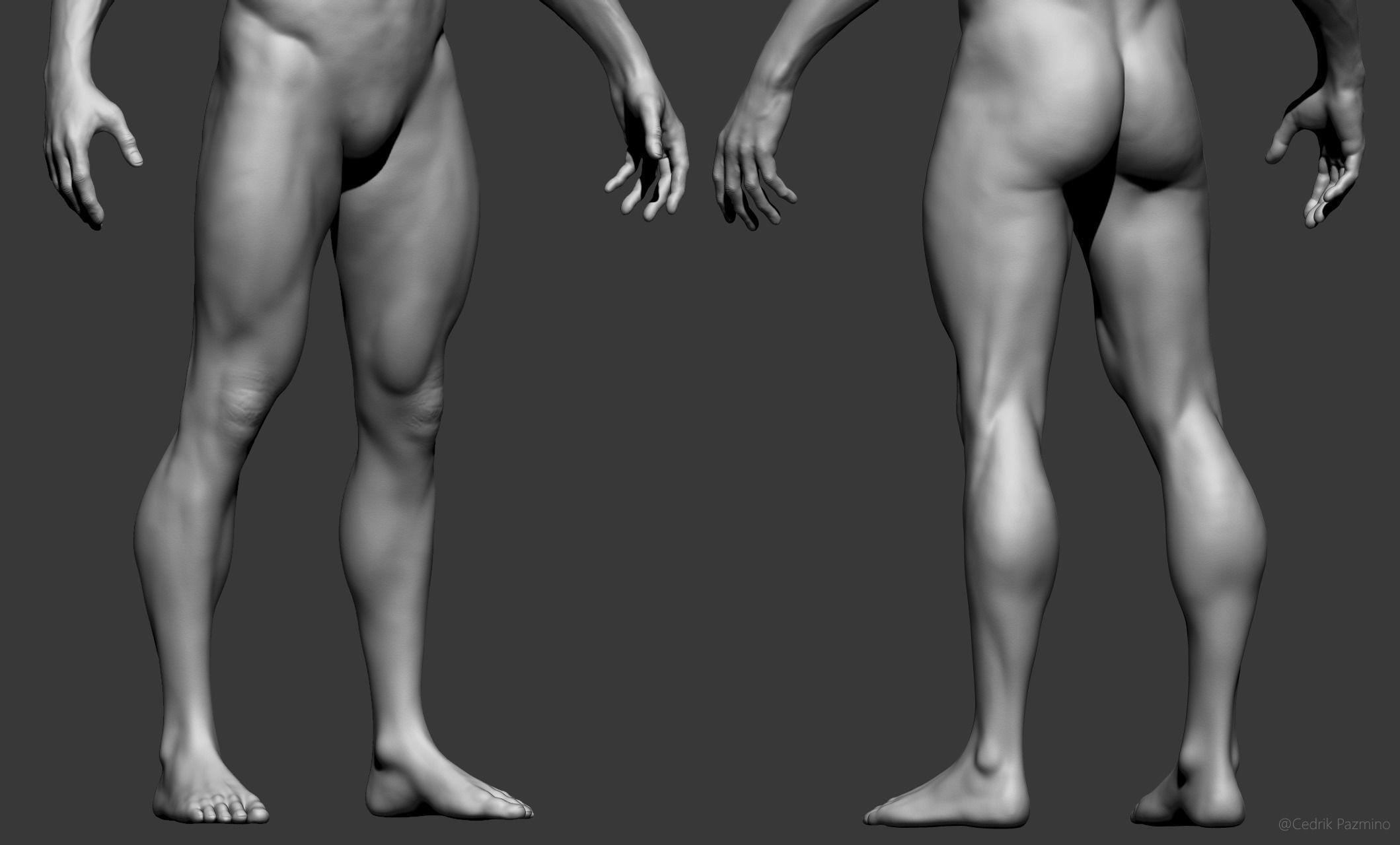 Male Anatomy Basemesh 3D model_4