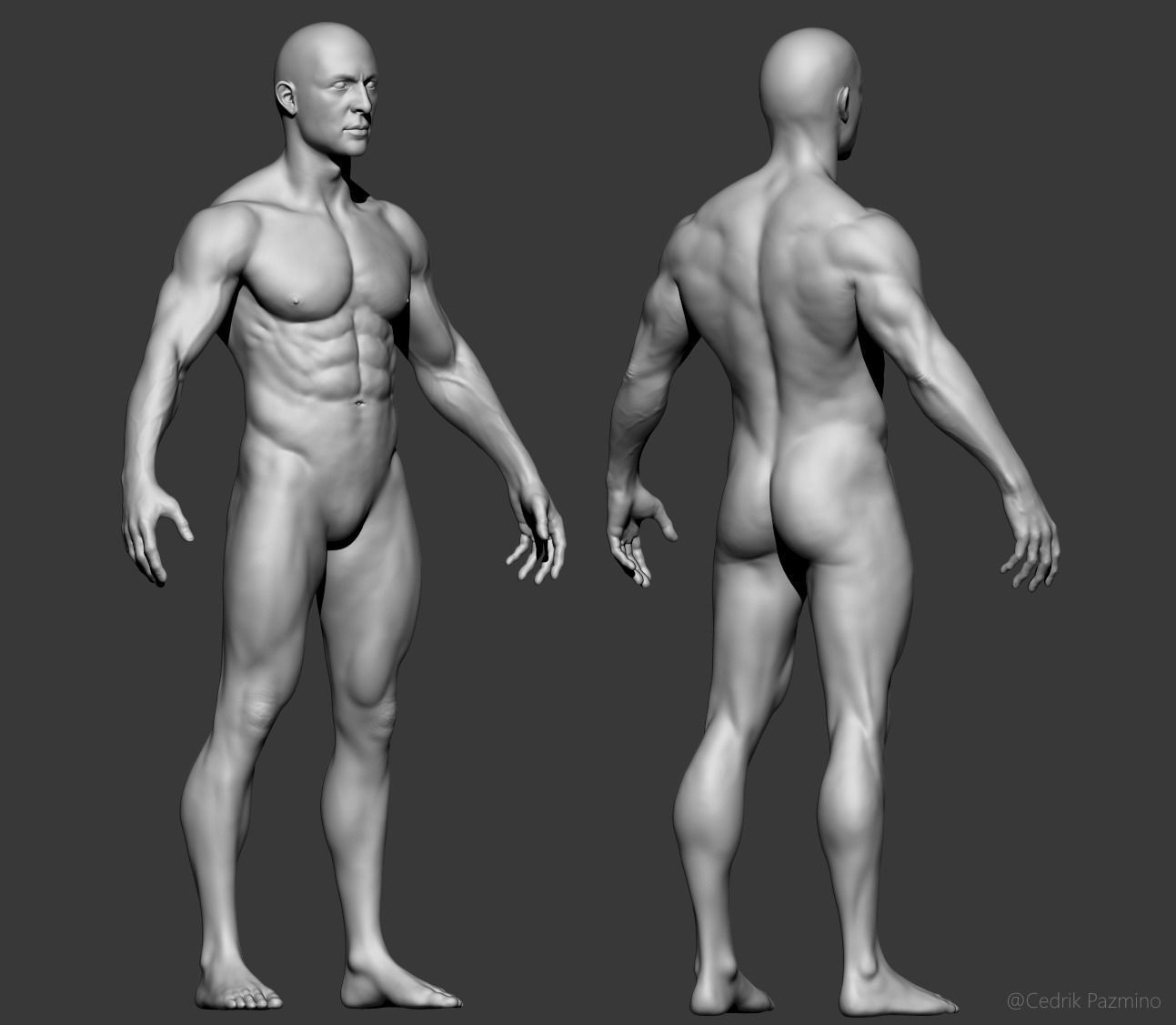 Male Anatomy Basemesh 3D model_2