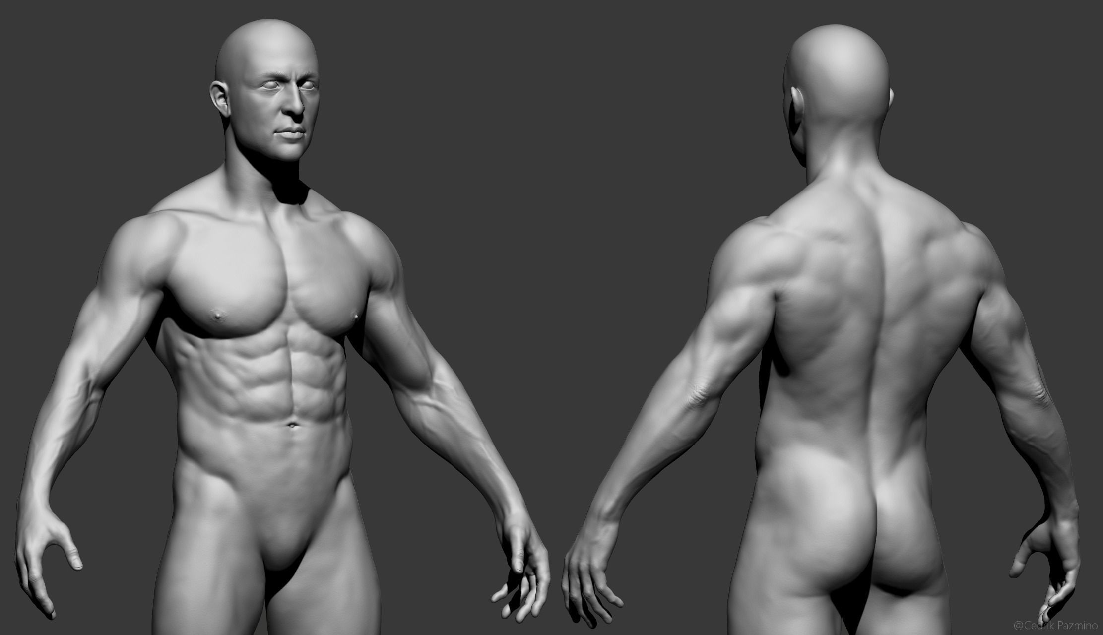 Male Anatomy Basemesh 3D model_3