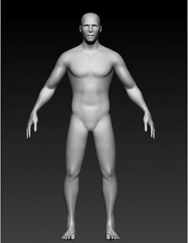 Male Base Mesh 3D Model 3D model