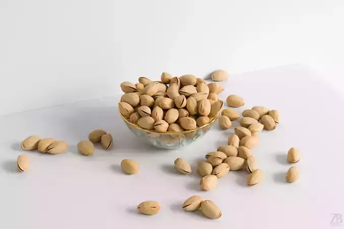 Pistachio 3D model
