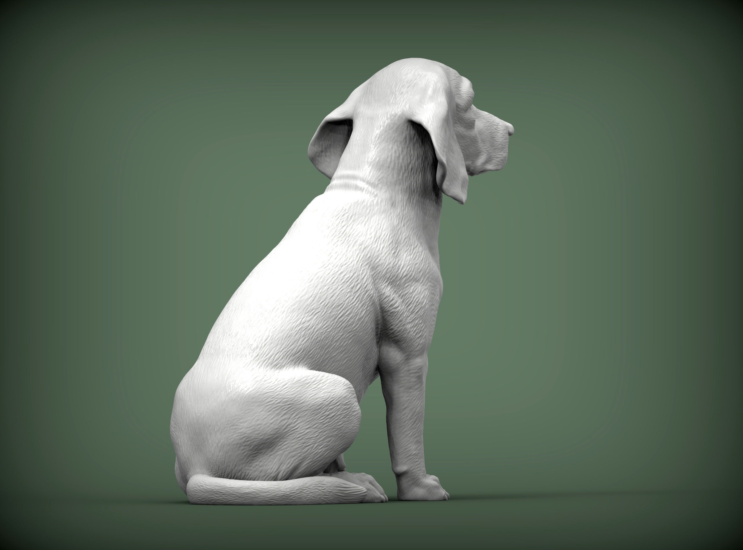 Beagle dog 3D print model_5
