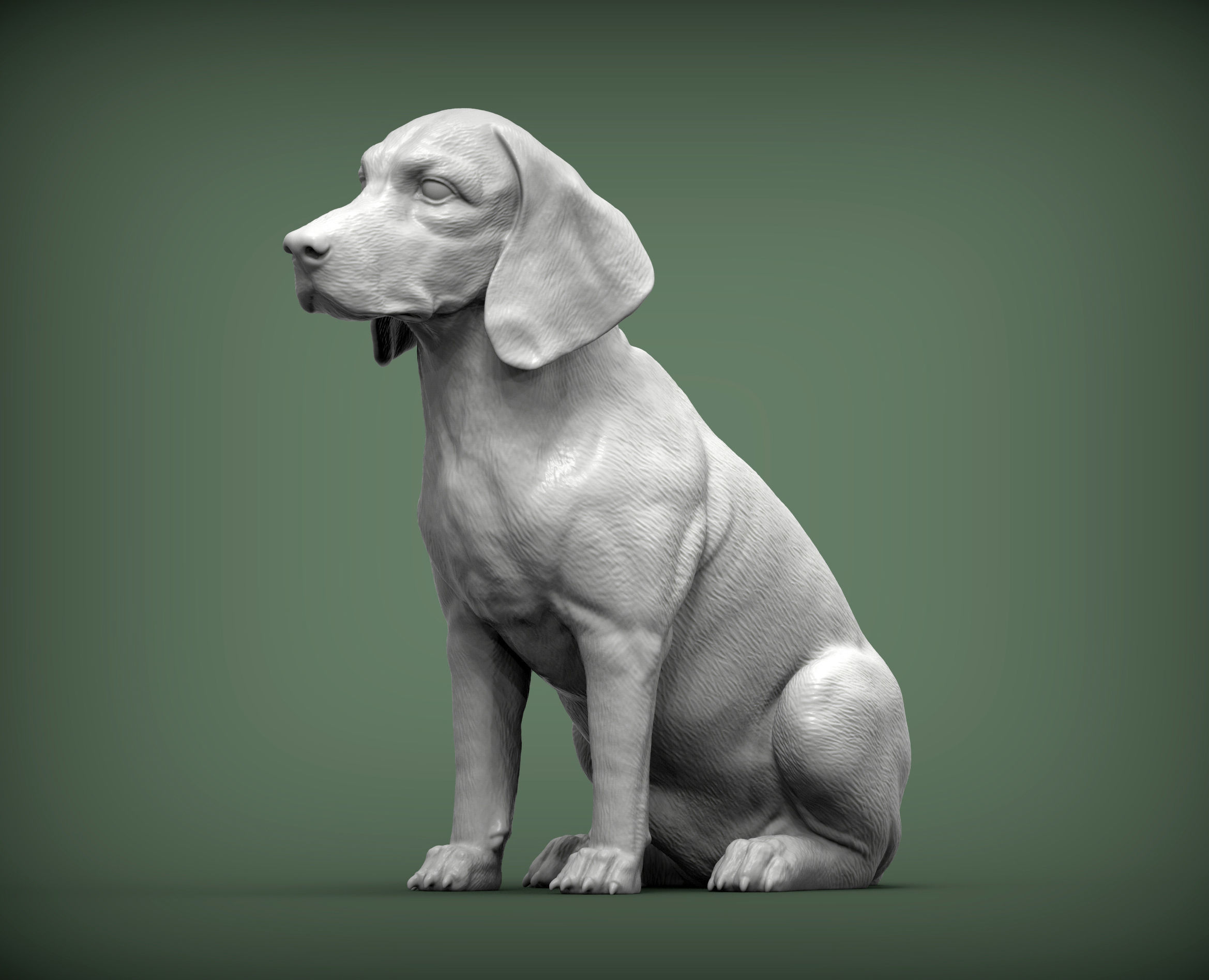 Beagle dog 3D print model_2