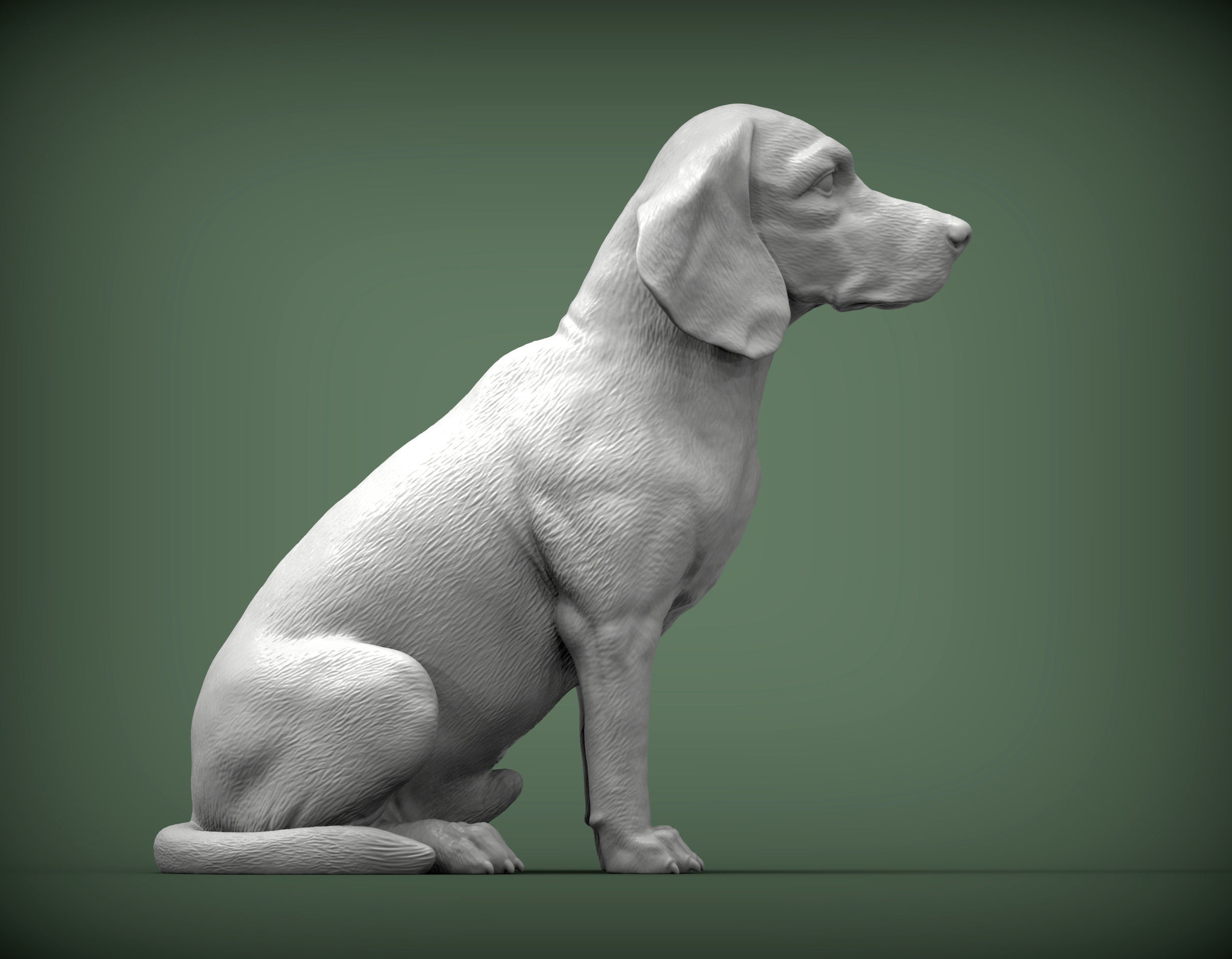 Beagle dog 3D print model_6