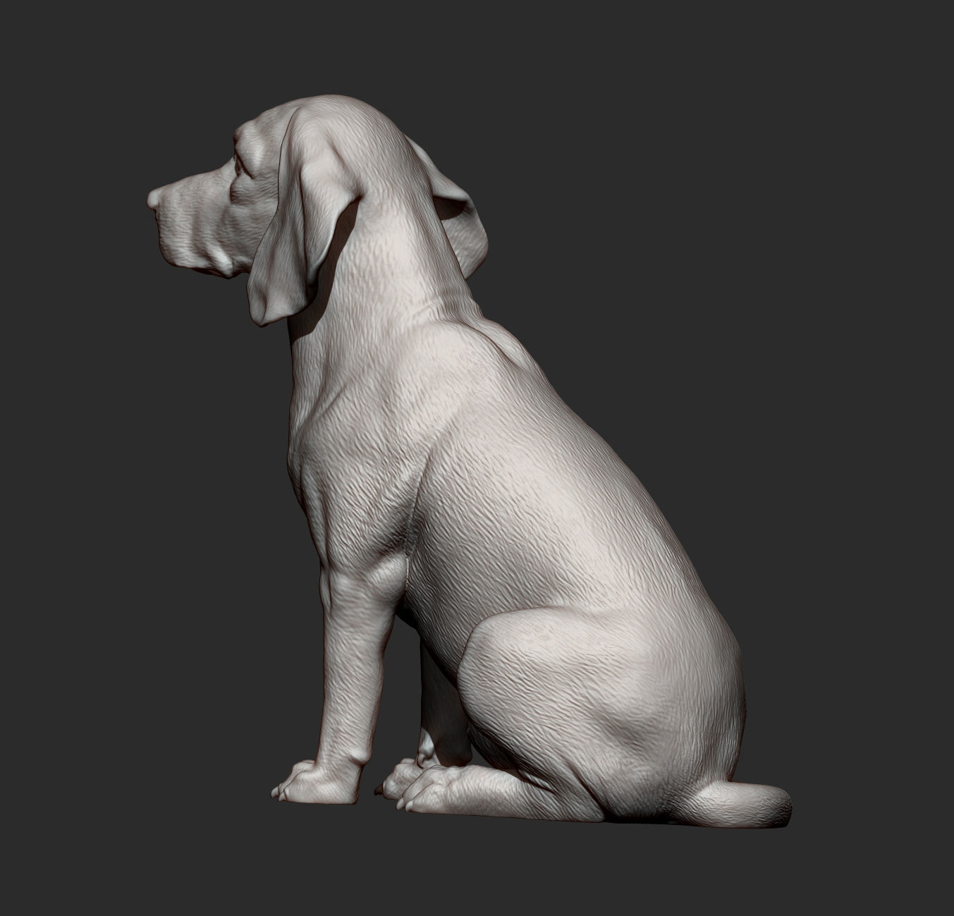 Beagle dog 3D print model_9