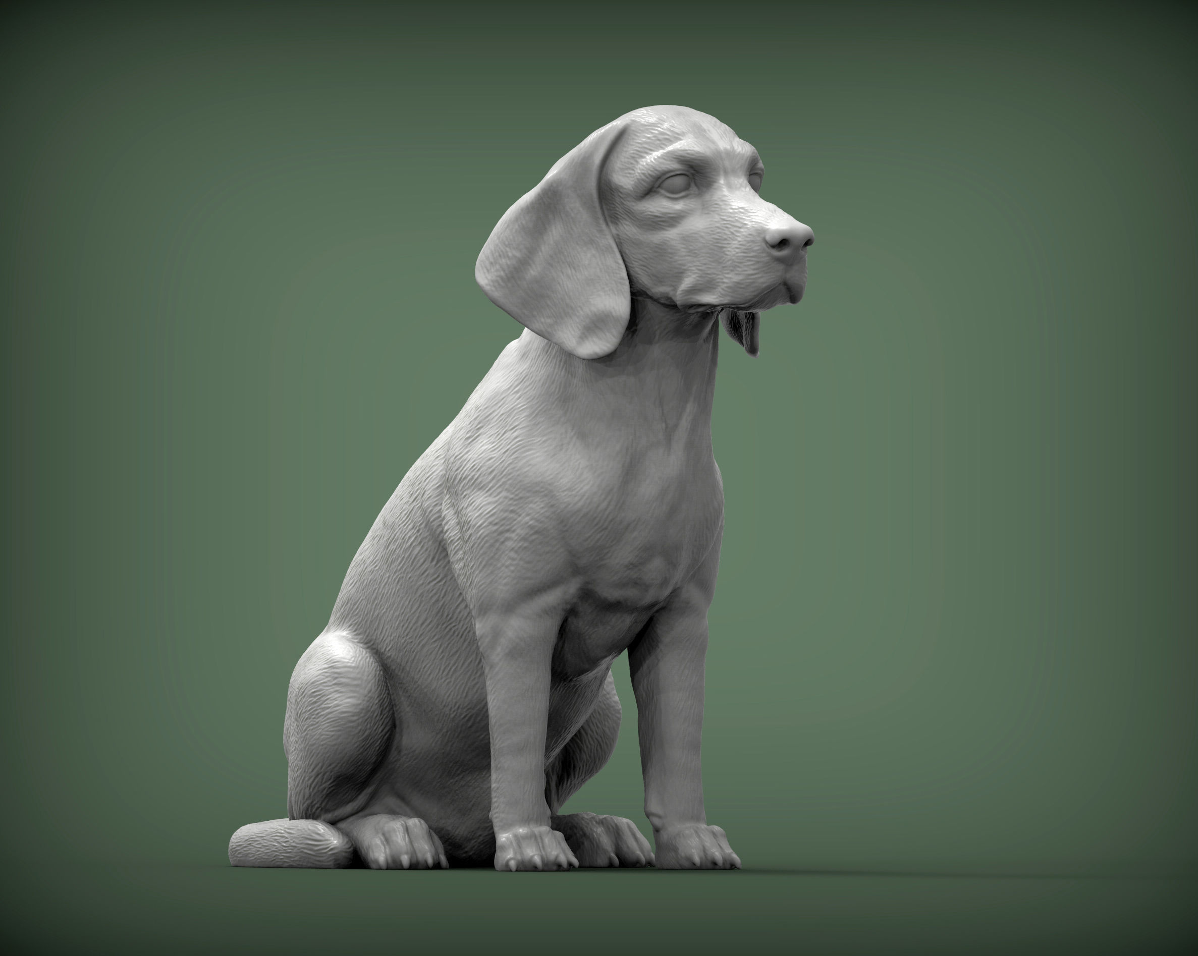 Beagle dog 3D print model_3