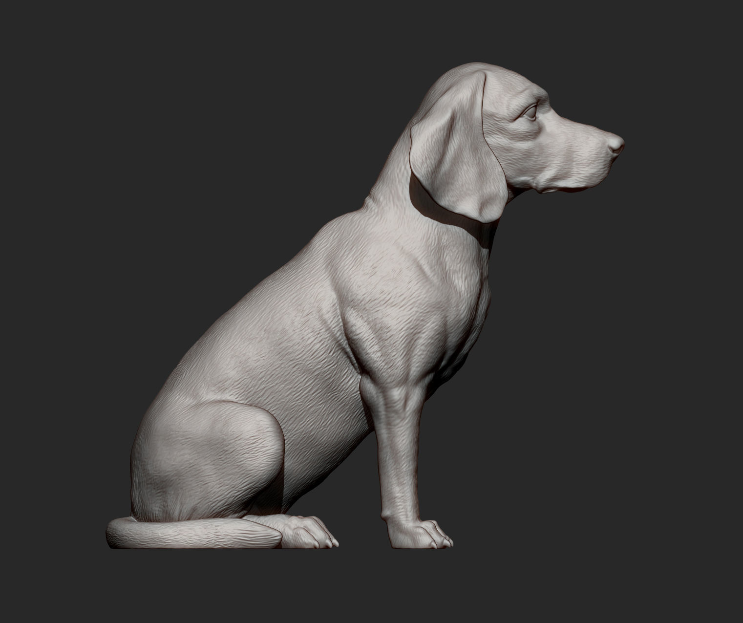Beagle dog 3D print model_10