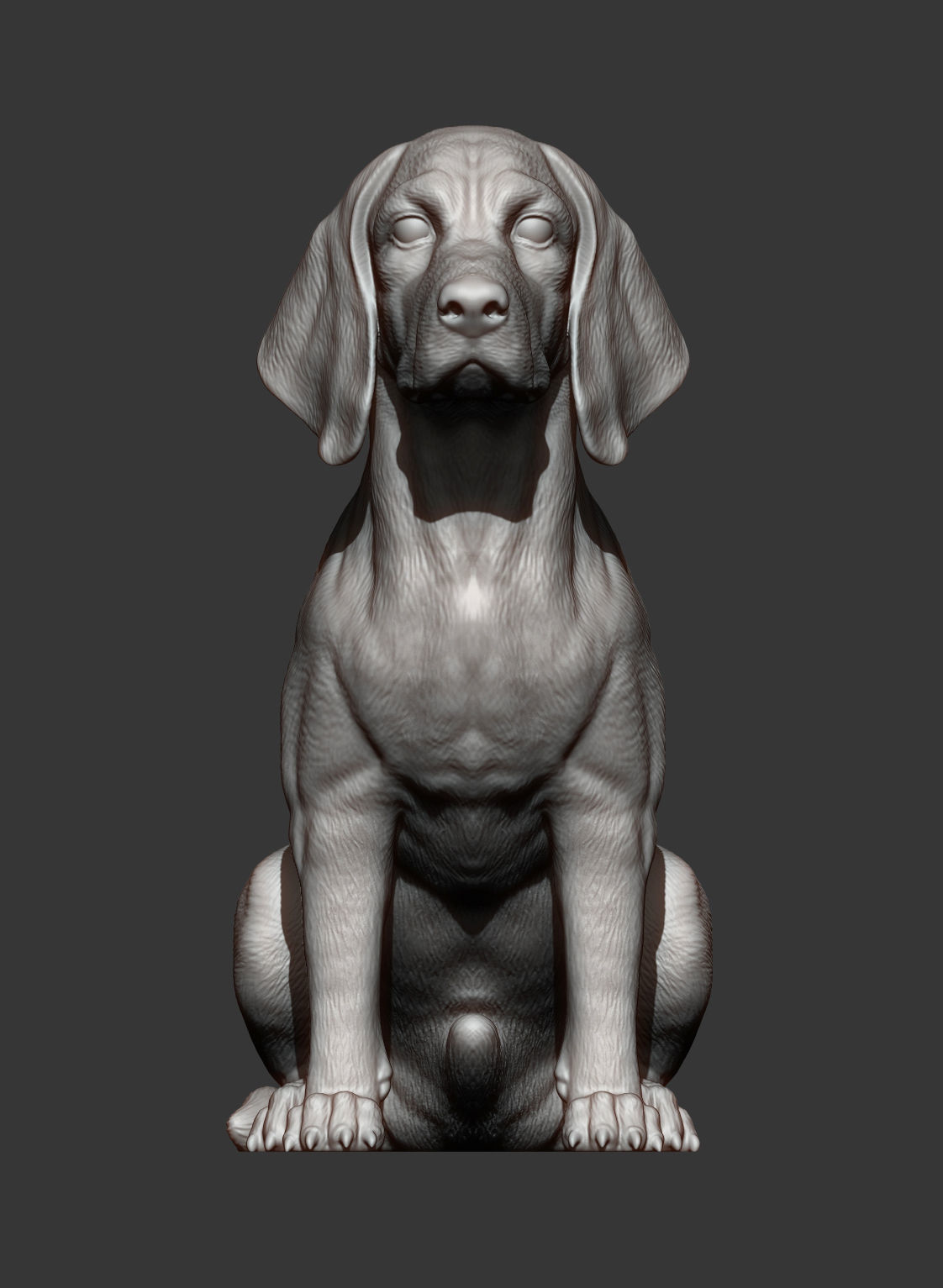 Beagle dog 3D print model_7
