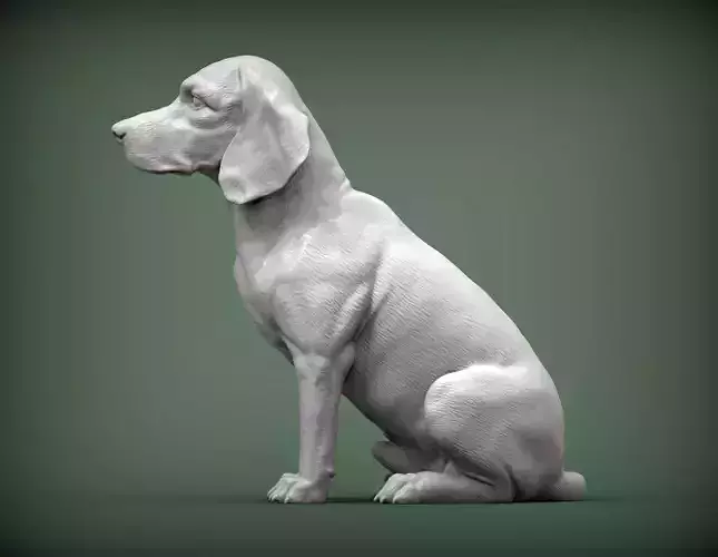 Beagle dog 3D print model