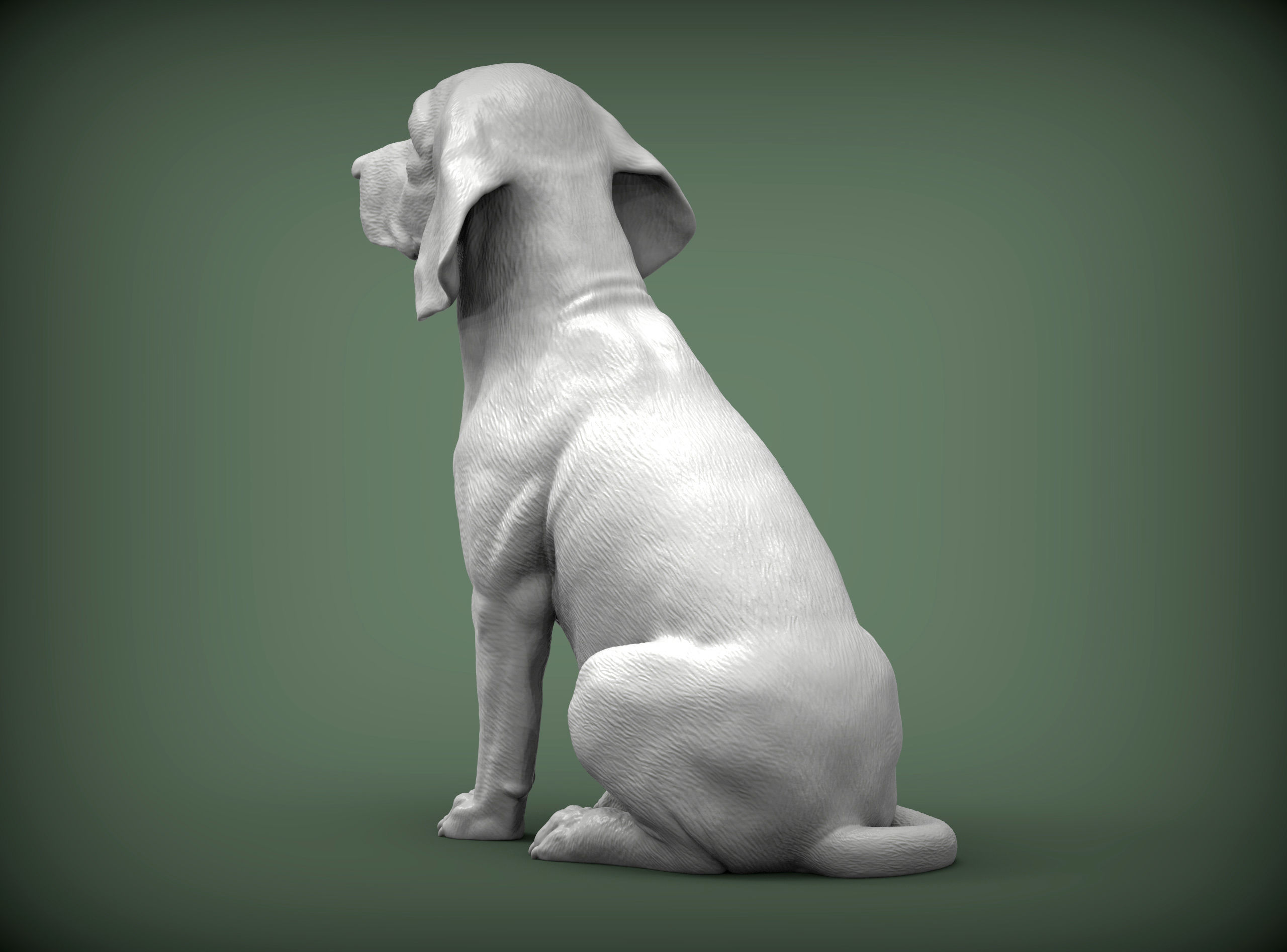 Beagle dog 3D print model_4