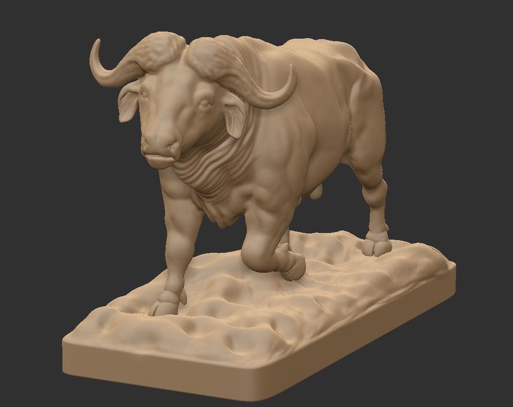 CAPE BUFFALO 3D print model_1