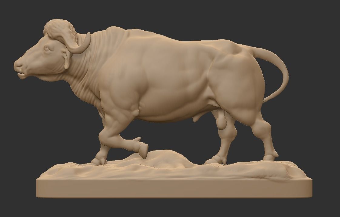 CAPE BUFFALO 3D print model_2
