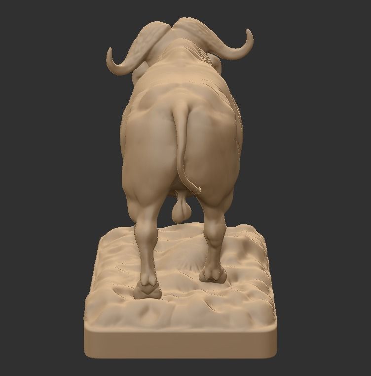 CAPE BUFFALO 3D print model_4