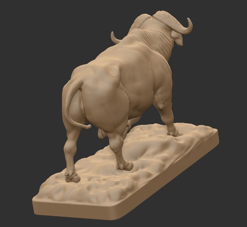 CAPE BUFFALO 3D print model_5
