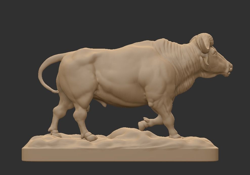 CAPE BUFFALO 3D print model_6