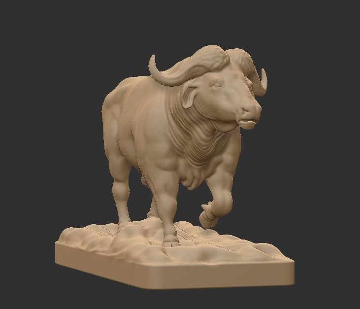 CAPE BUFFALO 3D print model_7