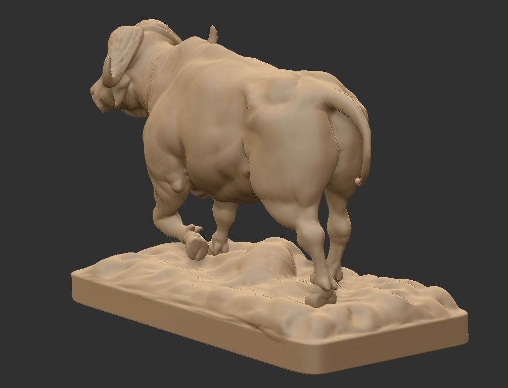 CAPE BUFFALO 3D print model_3