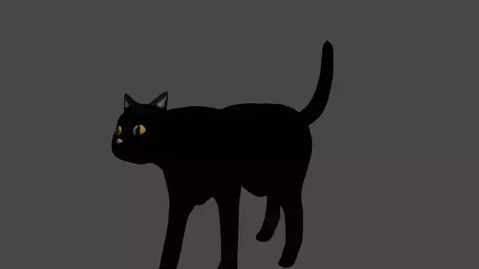 Black Cat