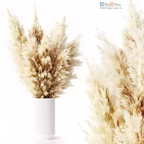 Dried Pampas Grass 02 3D model