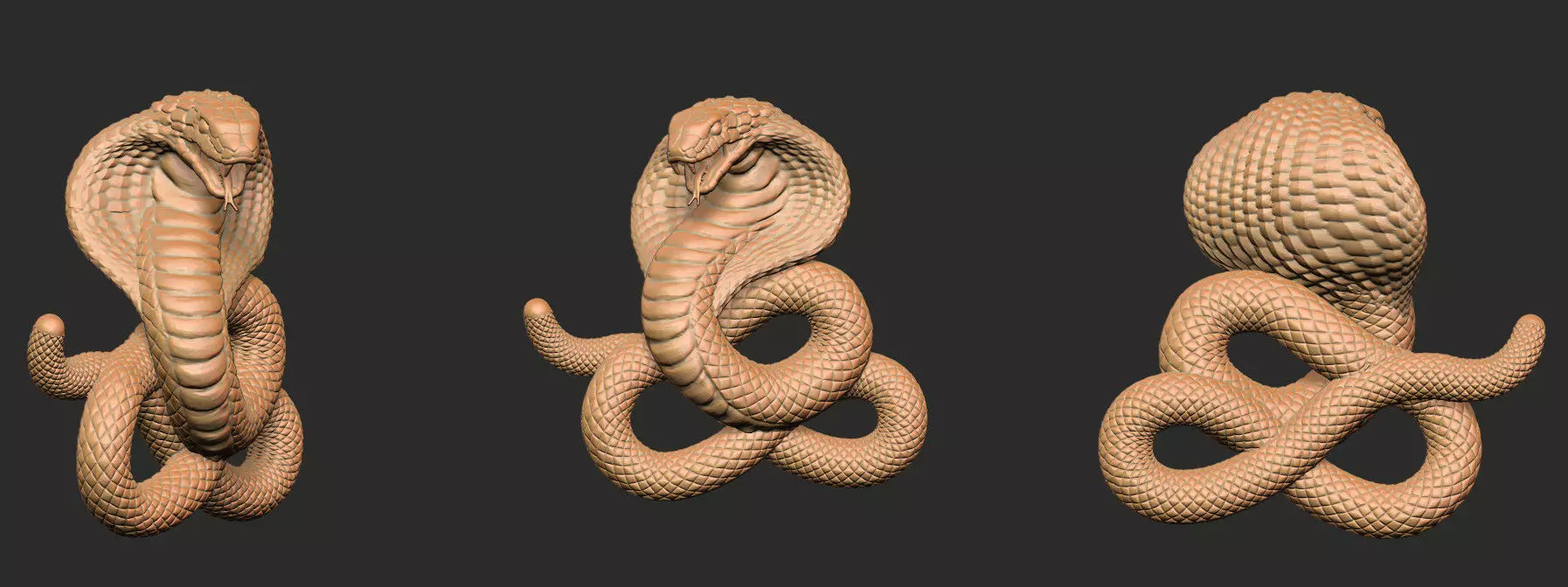 Cobra Snake Statue for 3d Printing 3D print model_0