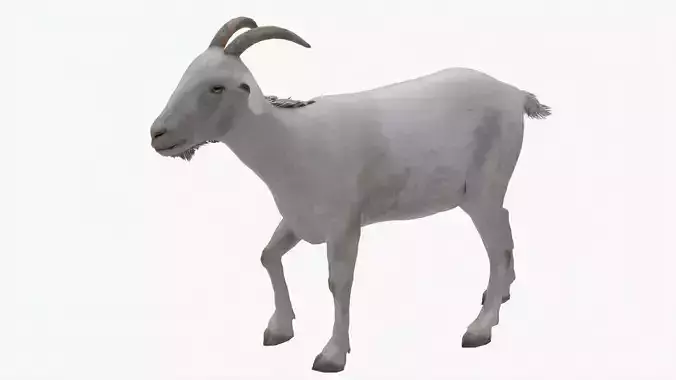 Lowpoly Goat