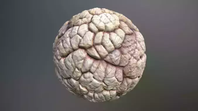 Material Skin Monster 40 Seamless PBR Texture Texture